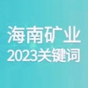 10个关键词 回顾海南矿业的2023