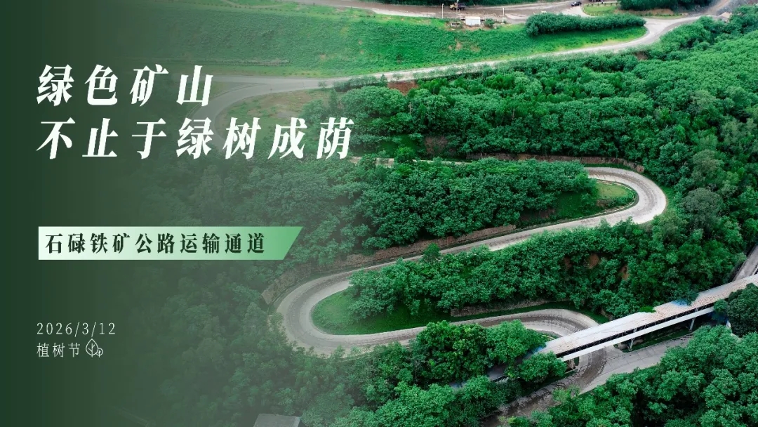 植树节 | 绿色矿山，不止于绿树成荫