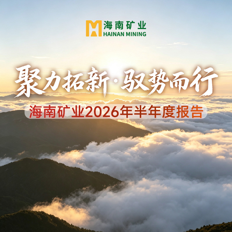 一图读懂海南矿业2026年半年度报告